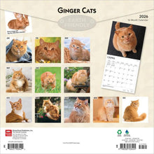 Load image into Gallery viewer, Browntrout Ginger Cats 2026 12 x 12 Wall Calendar