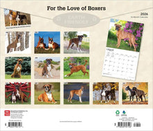 Load image into Gallery viewer, Browntrout For the Love of Boxers 2026 14 x 12 Wall Calendar