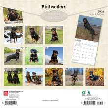 Load image into Gallery viewer, Browntrout Rottweilers 2026 12 x 12 Wall Calendar