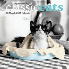 Load image into Gallery viewer, Graphique Classic Cats 2025 12 x 12 Wall Calendar