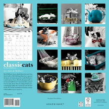 Load image into Gallery viewer, Graphique Classic Cats 2025 12 x 12 Wall Calendar