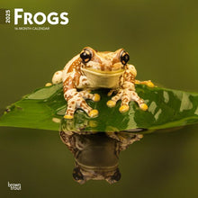 Load image into Gallery viewer, Browntrout Frogs 2025 12 x 12 Wall Calendar