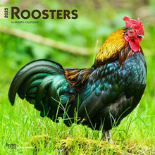 Load image into Gallery viewer, Browntrout Roosters 2025 12 x 12 Wall Calendar