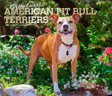 Load image into Gallery viewer, Browntrout For the Love of American Pit Bull 2025 14 x 12 Deluxe Wall Calendar