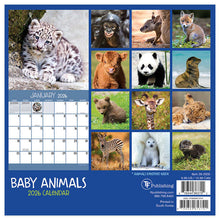 Load image into Gallery viewer, TF Publishing Baby Animals 2026 Mini Calendar