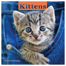 Load image into Gallery viewer, TF Publishing Kittens 2026 Mini Calendar