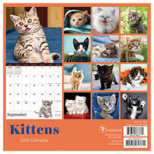 Load image into Gallery viewer, TF Publishing Kittens 2026 Mini Calendar