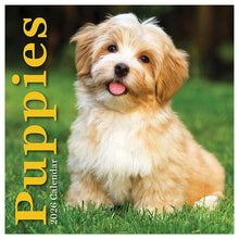Load image into Gallery viewer, TF Publishing Puppies 2026 Mini Calendar
