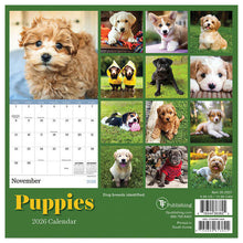 Load image into Gallery viewer, TF Publishing Puppies 2026 Mini Calendar