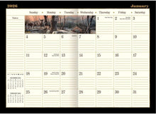 Load image into Gallery viewer, Lang Terry Redlin 2026 Monthly Pocket Planner