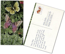 Load image into Gallery viewer, Lang Midnight Garden Postcard 2026 Desk Calendar