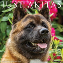 Load image into Gallery viewer, Willow Creek Akitas 2026 12" x 12" Wall Calendar