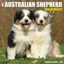 Load image into Gallery viewer, Willow Creek Australian Shepherd Puppies 2026 12" x 12" Wall Calendar