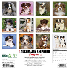 Load image into Gallery viewer, Willow Creek Australian Shepherd Puppies 2026 12" x 12" Wall Calendar