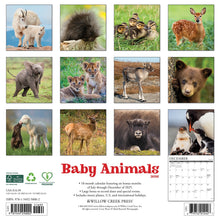 Load image into Gallery viewer, Willow Creek Baby Animals 2026 12" x 12" Wall Calendar