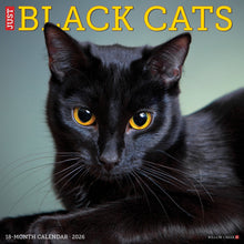 Load image into Gallery viewer, Willow Creek Black Cats 2026 12" x 12" Wall Calendar