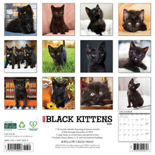 Load image into Gallery viewer, Willow Creek Black Kittens 2026 12" x 12" Wall Calendar