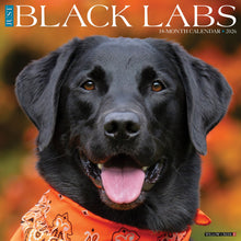 Load image into Gallery viewer, Willow Creek Black Labs 2026 12" x 12" Wall Calendar