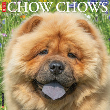 Load image into Gallery viewer, Willow Creek Chow Chows 2026 12" x 12" Wall Calendar