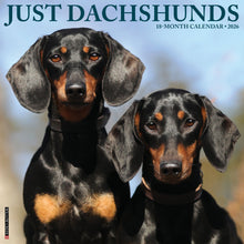 Load image into Gallery viewer, Willow Creek Dachshunds 2026 12" x 12" Wall Calendar