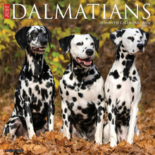 Load image into Gallery viewer, Willow Creek Dalmatians 2026 12" x 12" Wall Calendar