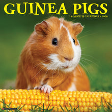 Load image into Gallery viewer, Willow Creek Guinea Pigs 2026 12" x 12" Wall Calendar
