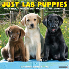 Load image into Gallery viewer, Willow Creek Lab Puppies 2026 12" x 12" Wall Calendar