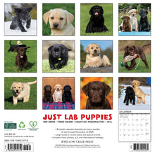 Load image into Gallery viewer, Willow Creek Lab Puppies 2026 12" x 12" Wall Calendar