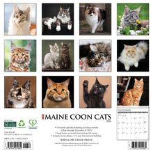 Load image into Gallery viewer, Willow Creek Maine Coon Cats 2026 12" x 12" Wall Calendar