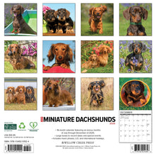 Load image into Gallery viewer, Willow Creek Miniature Dachshunds 2026 12" x 12" Wall Calendar