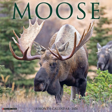 Load image into Gallery viewer, Willow Creek Moose 2026 12" x 12" Wall Calendar