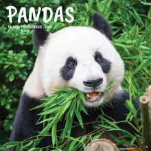 Load image into Gallery viewer, Willow Creek Pandas 2026 12" x 12" Wall Calendar