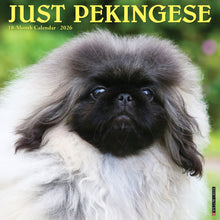 Load image into Gallery viewer, Willow Creek Pekingese 2026 12" x 12" Wall Calendar