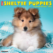 Load image into Gallery viewer, Willow Creek Sheltie Puppies 2026 12" x 12" Wall Calendar