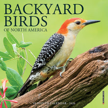 Load image into Gallery viewer, Willow Creek Backyard Birds 2026 7" x 7" Mini Wall Calendar