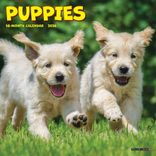 Load image into Gallery viewer, Willow Creek Puppies 2026 7" x 7" Mini Wall Calendar