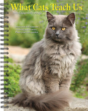 Load image into Gallery viewer, Willow Creek What Cats Teach Us 2026 6.5" x 8.5" Engagement Calendar