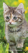 Load image into Gallery viewer, Willow Creek Cute as A Kitten 2026 2-Year Monthly Pocket Planner