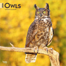 Load image into Gallery viewer, Browntrout Owls 2026 12 x 12 Wall Calendar