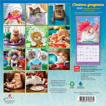 Load image into Gallery viewer, Browntrout Avanti Chatons Grognons OFFICIAL 2026 7 x 7 Mini Calendar