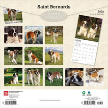 Load image into Gallery viewer, Browntrout Saint Bernards 2026 12 x 12 Wall Calendar