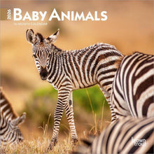 Load image into Gallery viewer, Browntrout Baby Animals 2026 7 x 7 Mini Calendar