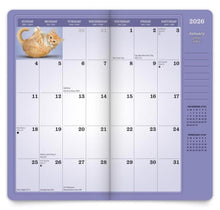 Load image into Gallery viewer, Browntrout Yoga Kittens OFFICIAL 2026-2027 Two Year Monthly Pocket Planner
