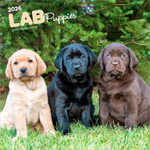 Load image into Gallery viewer, Browntrout Labrador Retriever Puppies 2026 12 x 12 Wall Calendar