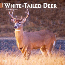 Load image into Gallery viewer, Browntrout White Tailed Deer 2026 12 x 12 Wall Calendar