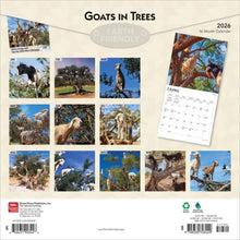 Load image into Gallery viewer, Browntrout Goats in Trees 2026 12 x 12 Wall Calendar