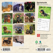 Load image into Gallery viewer, Browntrout Dachshunds 2026 7 x 7 Mini Calendar
