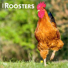 Load image into Gallery viewer, Browntrout Roosters 2026 12 x 12 Wall Calendar
