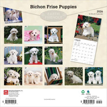 Load image into Gallery viewer, Browntrout Bichon Frise Puppies 2026 12 x 12 Wall Calendar