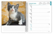 Load image into Gallery viewer, Browntrout Kittens 2026 6 x 7.75 Weekly Engagement Planner